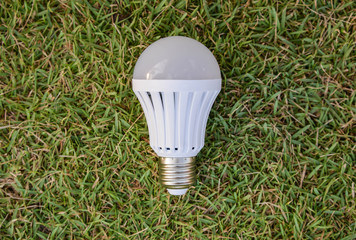 LED Bulb - on the green grass