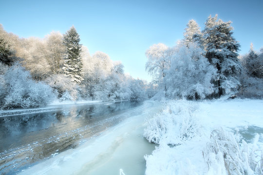 Snow covered trees along river, Cavan, Ireland