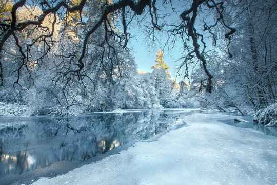 Snow covered trees along river, Cavan, Ireland