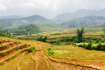Fototapeta na wymiar View of rice terraces at highlands of Sa Pa (Vietnam) in autumn