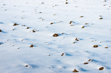 Arable land under snow