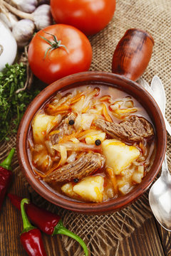 Soup with cabbage and meat