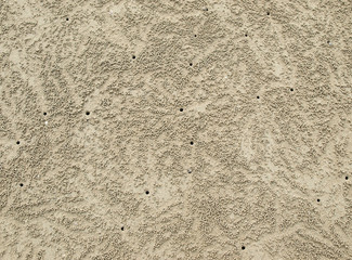 Sand ball above crab nest around the beach