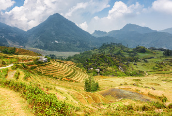 View of rice terraces in the Hoang Lien Mountains, Vietnam