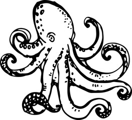 Octopus. Vector illustration