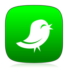twitter green icon