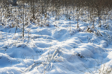 Snow landscape sunny winter