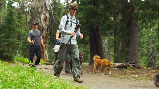 Close up shot of friends hiking together with their dogs 