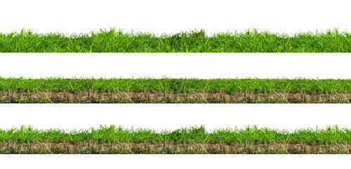 Layers of green grass section with soil isolated on white