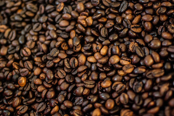 coffee beans heap in dark tone