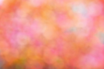 Rainbow festive glitter light abstract blur background