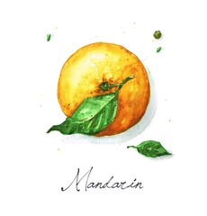 Fototapeten Watercolor Food Painting - Mandarin or Orange © nataliahubbert