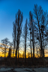 Wschód słońca w parku © Piotr Gołębniak