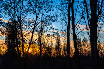 Fototapeta na wymiar Wschód słońca w parku