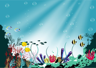 Fototapeta na wymiar coral reef and tropical fish in sunlight