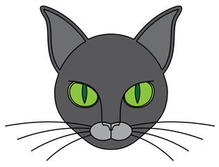 silver cat with green eyes
