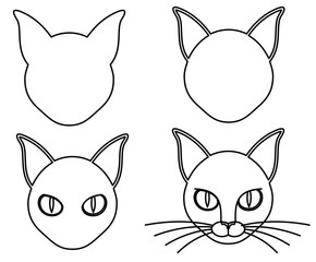 black cat how to drawing