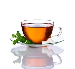 Mint Tea Isolated on White