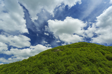 Fototapeta na wymiar Spring landscape in the mountains