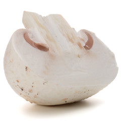 Champignon isolated on white background cutout
