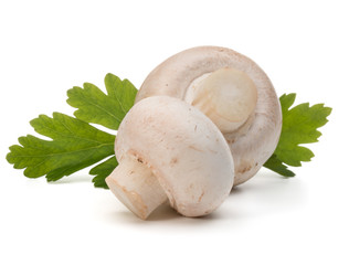 Champignon and parsley herb still life isolated on white backgro