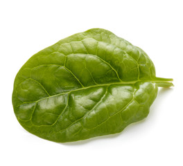 Fototapeta premium Baby spinach leaves isolated on white background cutout