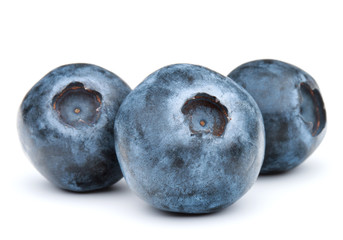 blueberry or bilberry or blackberry or blue whortleberry or huck