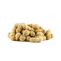 Dried peanuts on white background