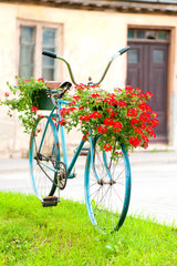 Fototapeta na wymiar Old rustic turquoise retro bicycle - flowerbed. Outdoors.