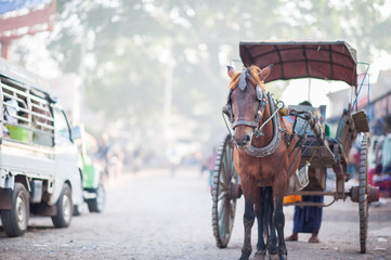 Obraz premium Horse drawn cart outside Thiri Mingalar Zay market, Loikaw, Myanmar