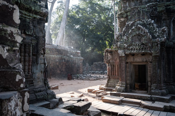 Rays of early morning light at Ta prohm ruined temple, Angkor wat, cambodia