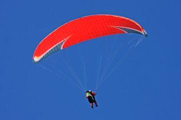 Paraglider