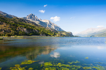 Fototapeta na wymiar Lake Sils - lake in Switzerland.
