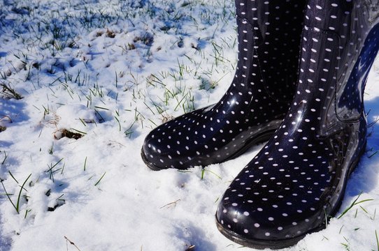 Black Boots With Polka Dots In The Snow