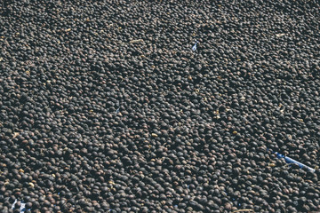 dried berries coffee with filter effect retro vintage style