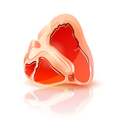 Vector 3d icon of a steak white background