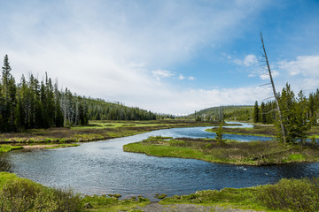 The Yellowstone River meanders through the beautiful Heyden Valley between Yellowstone Lake and the...