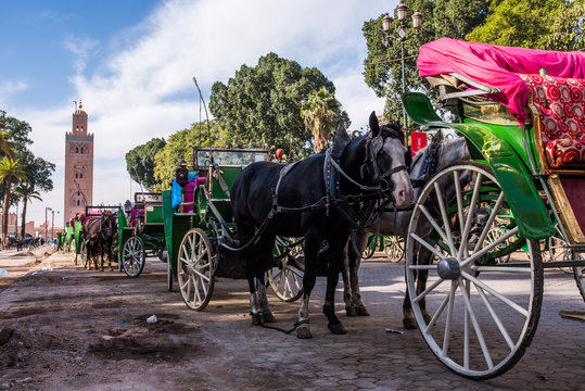 Parked row of horses and carts in Marrakesh with the Koutoubia Minaret in the background