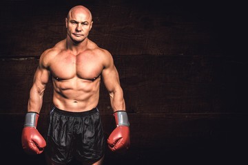 Composite image of portrait of bald man with boxing gloves