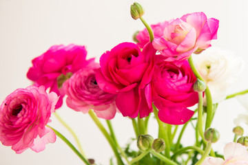 Bouquet of colorful persian buttercup flowers (ranunculus)