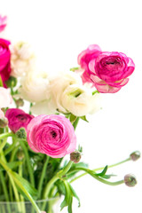 Bouquet of colorful persian buttercup flowers (ranunculus), Isol