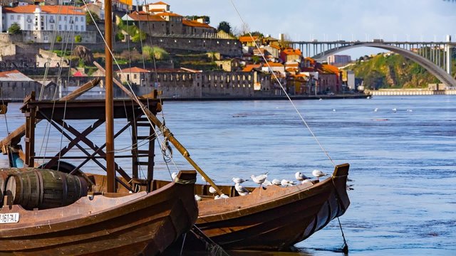 Traditional transport boats in Porto