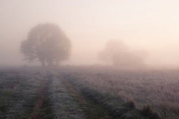 Obraz na płótnie Canvas Foggy spring dawn