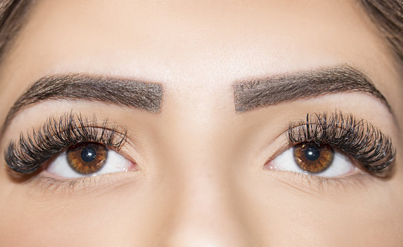 Brown Eye Makeup. Beautiful Eyes Make up detail, eyelash extension