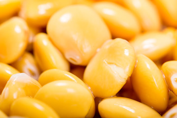 Fresh legumes lupins in macro