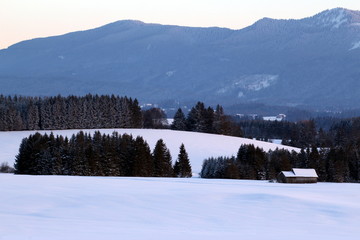 Einzelne Hütte vor Berg