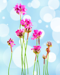 Beautiful boquet  on light abstract  background