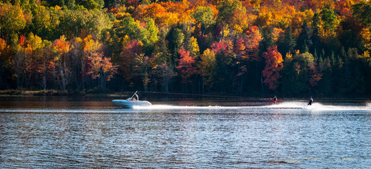 Late summer on a northern Ontario lake - getting in the last session of water skiing.  A boat speeding along pulls a pair of water skiers.  Have fun on one of the last warm days of summer.   - 100488770
