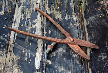 Old rusty scissors on metal