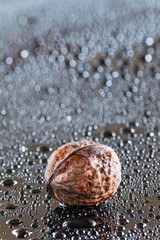isolate wet nut 